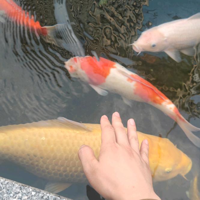 风海洋