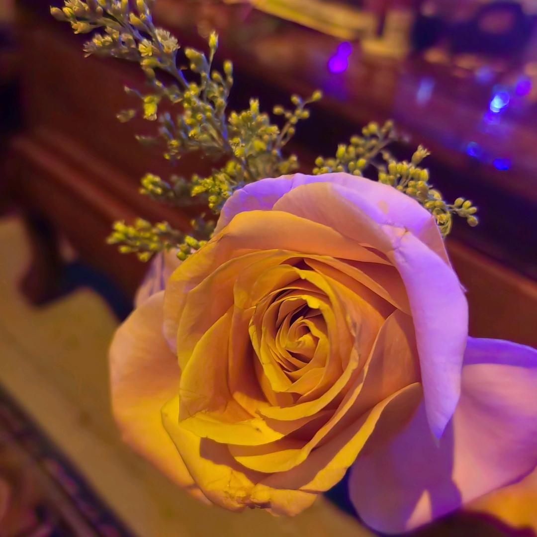 ღ᭄ꦿ꯭ℳ姑娘的草戒指๓ღ᭄ꦿ