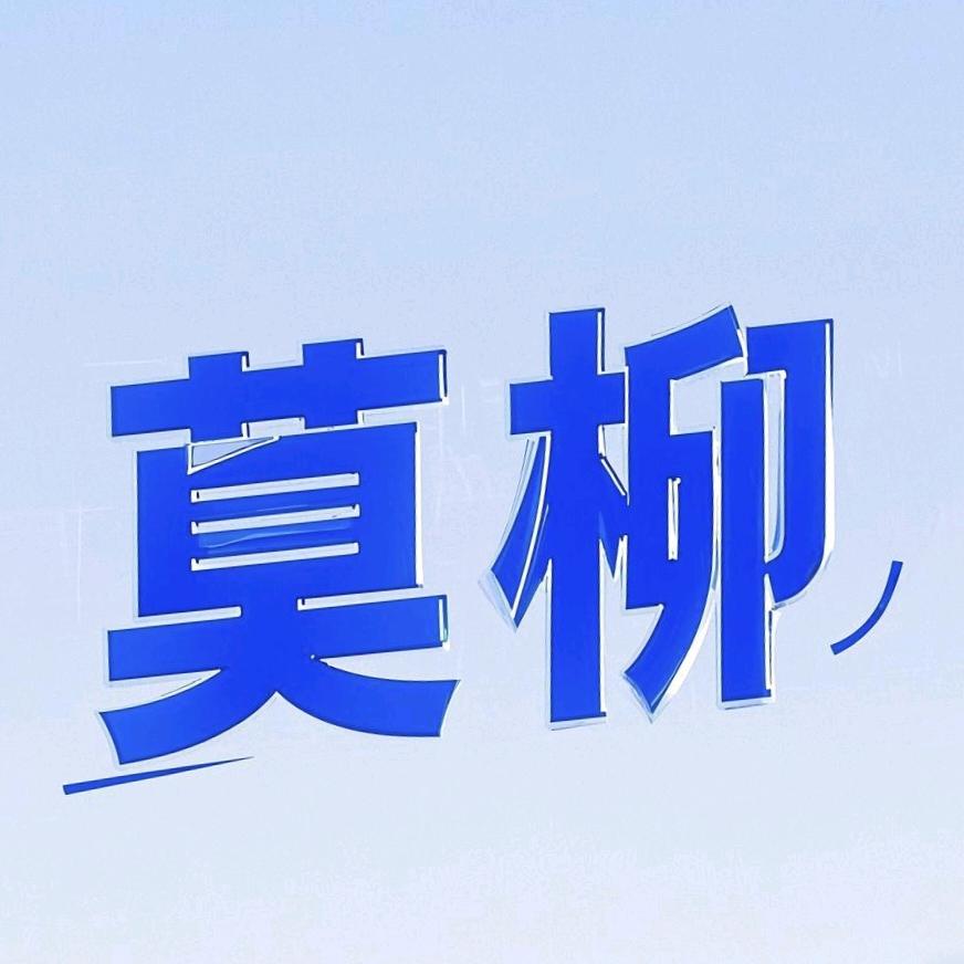 莫柳潮流男鞋工作室