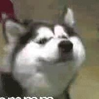 😜
