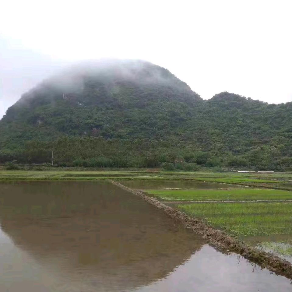 小小萱