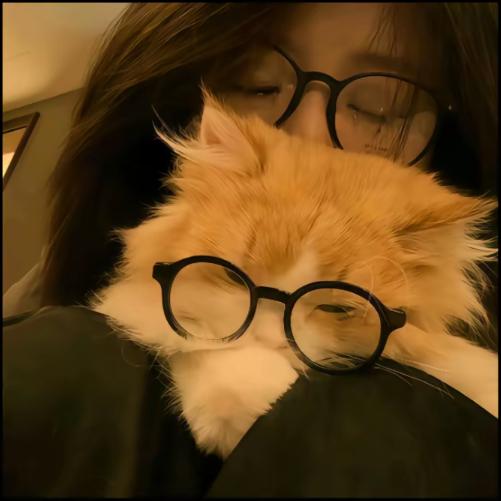 噔噔噔的🏀！！