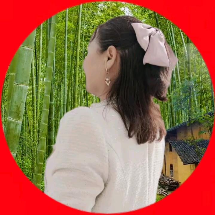 南方金银花