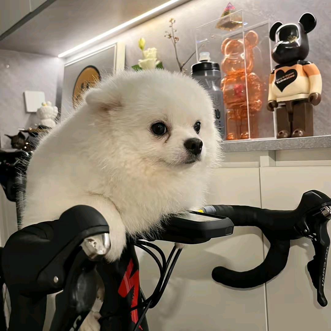 丙泊酚不是牛奶📷🚴🏻