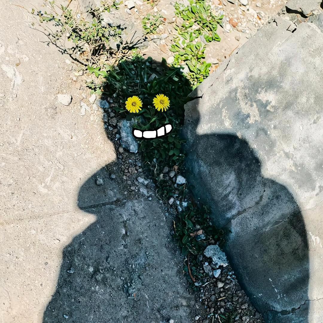 梓峰是个大憨憨