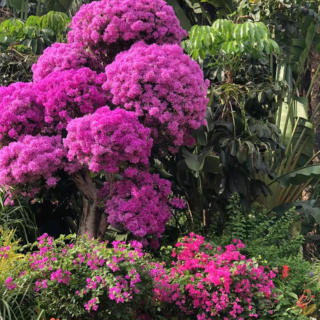 相识是缘（拒绝私聊）