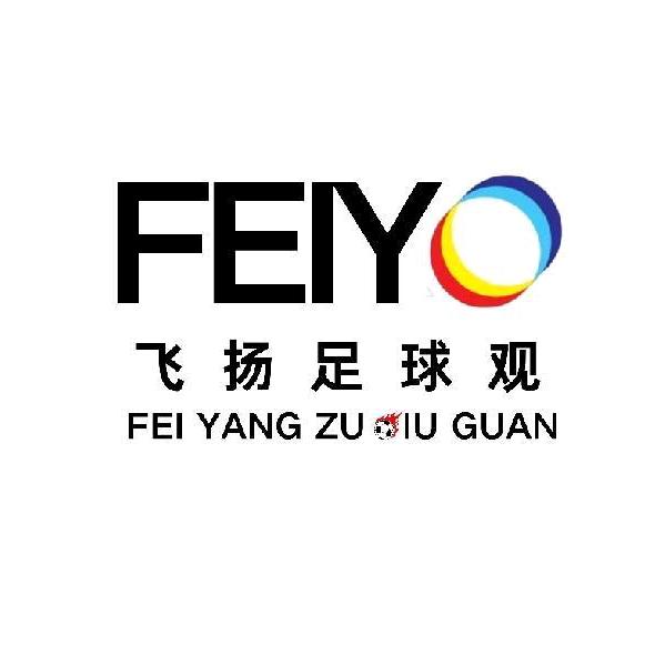 飞扬足球观