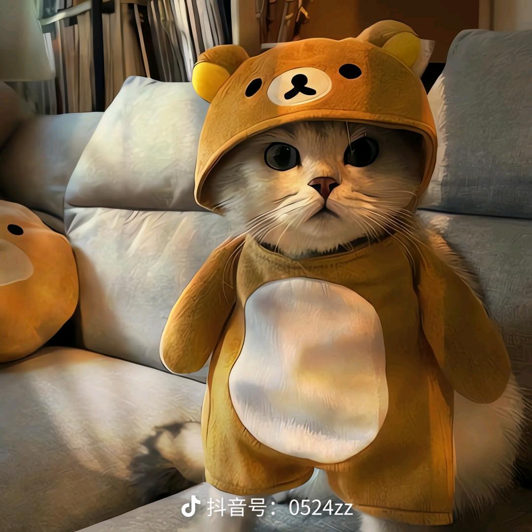 嘎嘎可爱