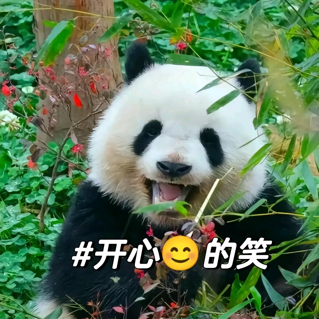 钢琴四段