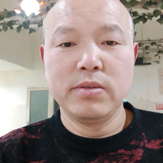 高磊