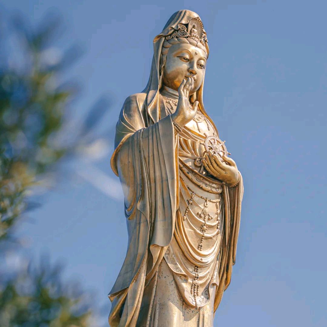 普陀山娘娘送籽✨