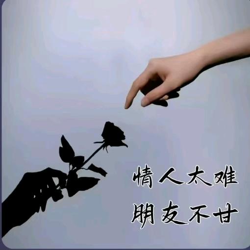 迷人的王子