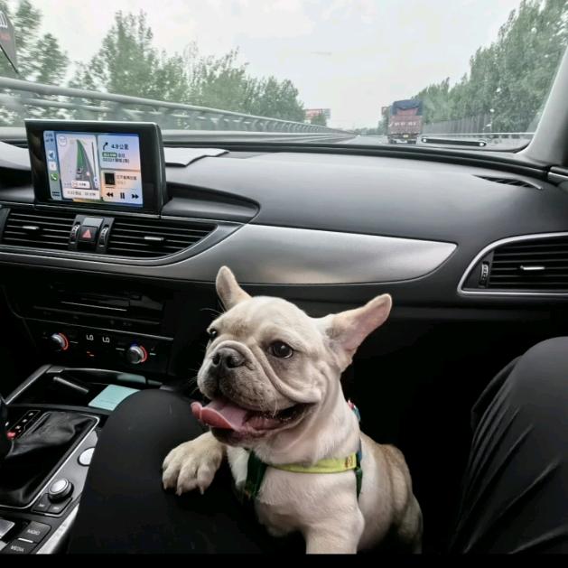 莘县聚義车行🚗