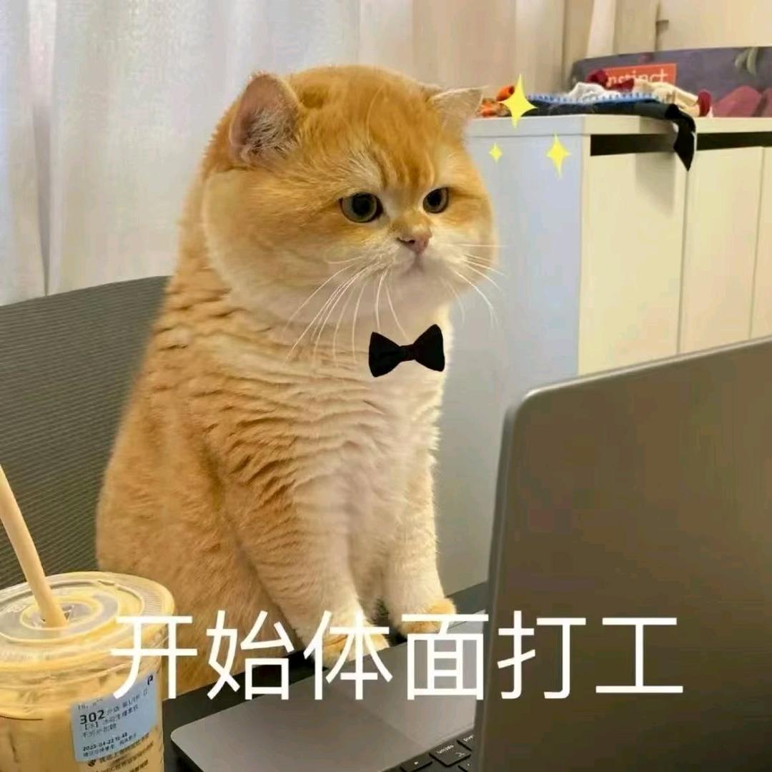 佳慕连锁广夏春兰园店-陈老师