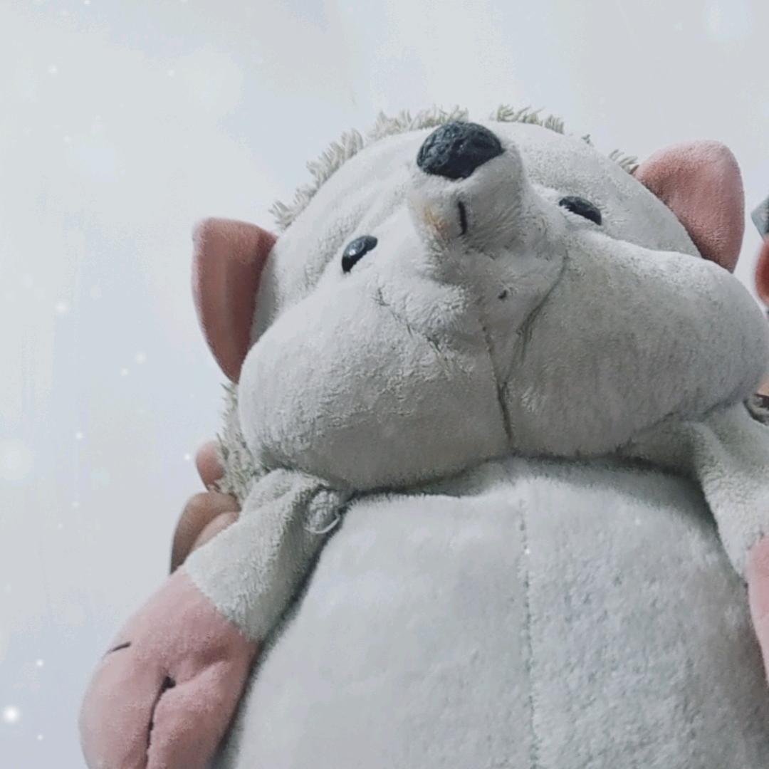 顺风顺水