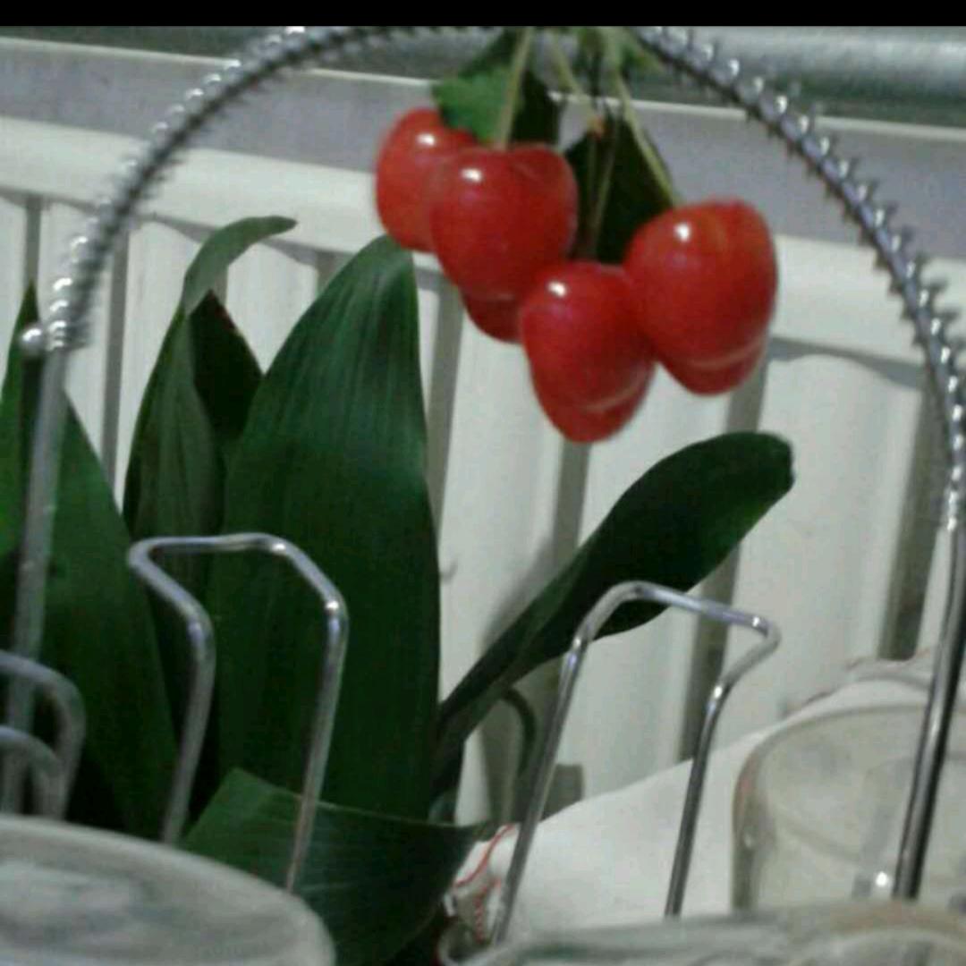 阳光小子