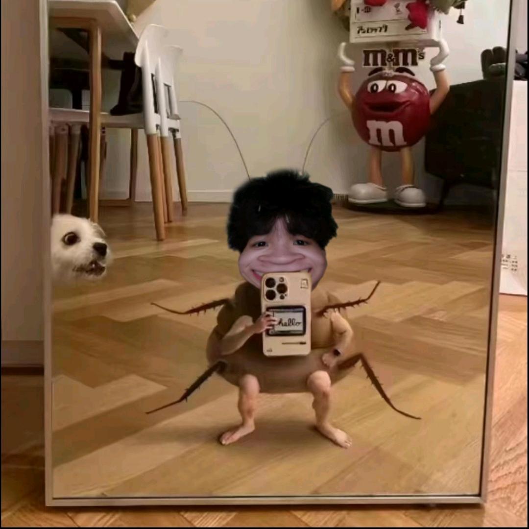 阿may
