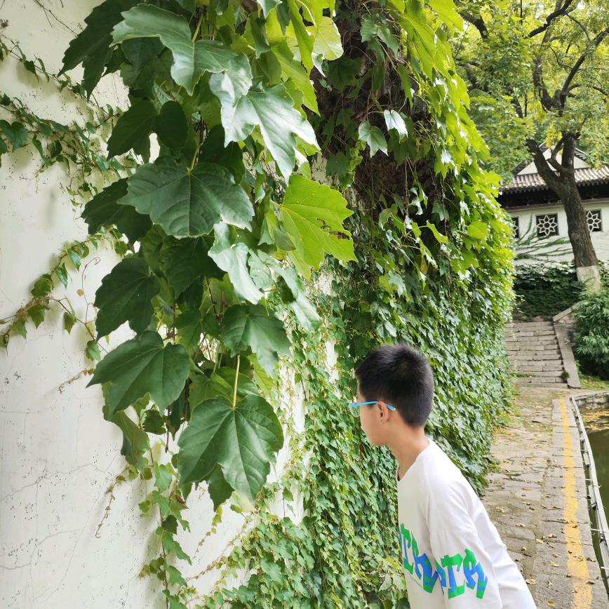 小薇吖