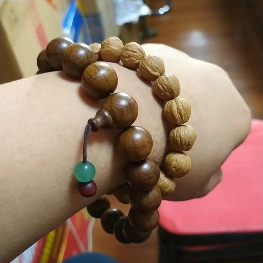 小白观世界