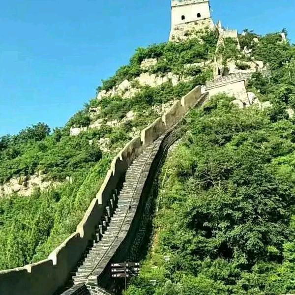 忠联爱好音乐