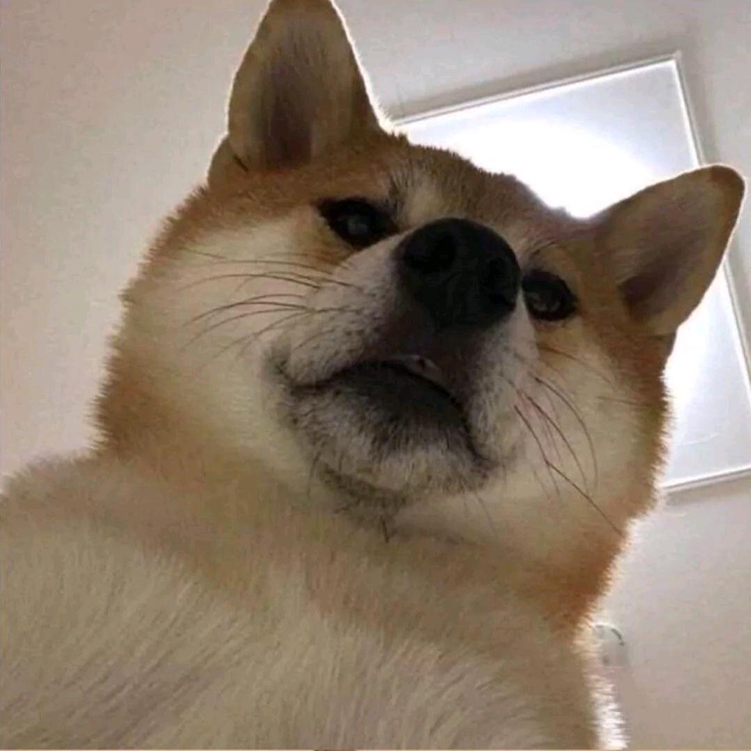 随心