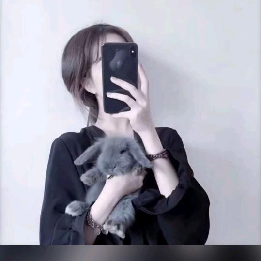 范总