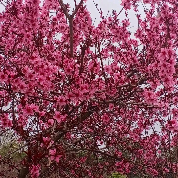 用户719140212521山岭