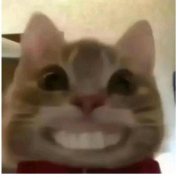 先当小丑再直播卖货