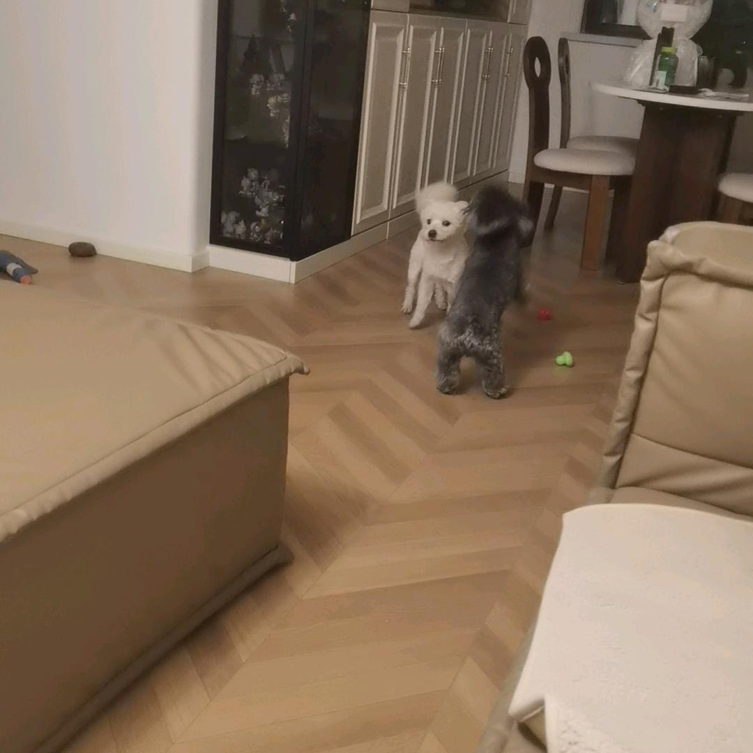 稀怀