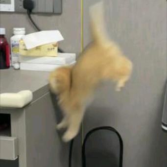 解析式
