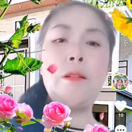 何必单恋一枝花