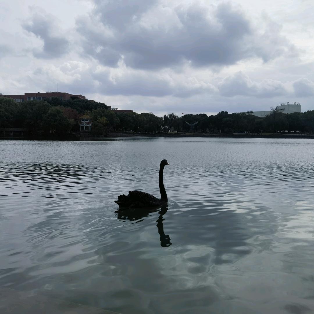 陈学更