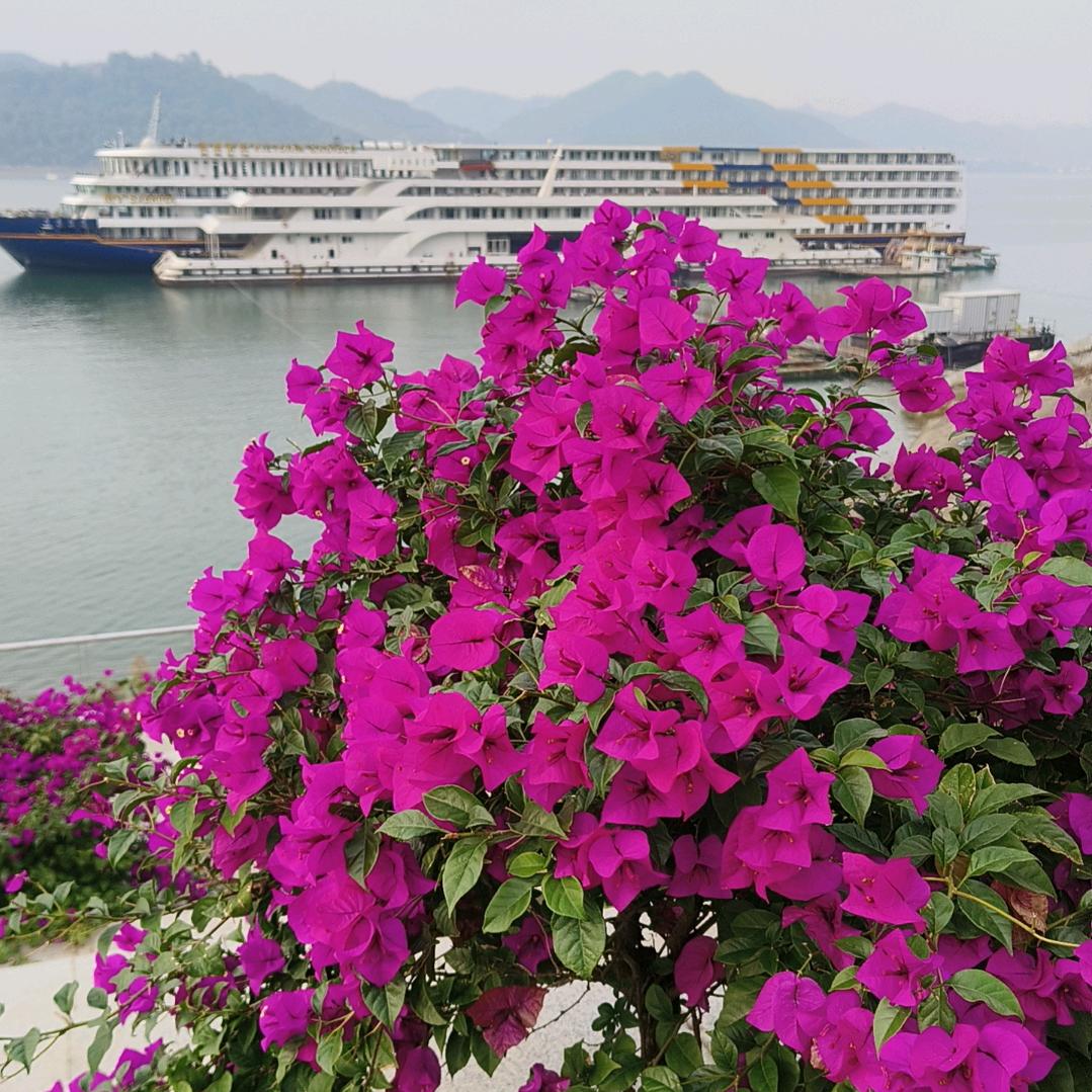 浪里摇摇迎悠闲