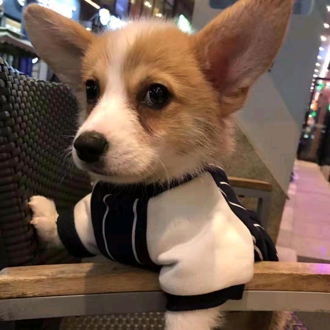 遇见你遭老罪了