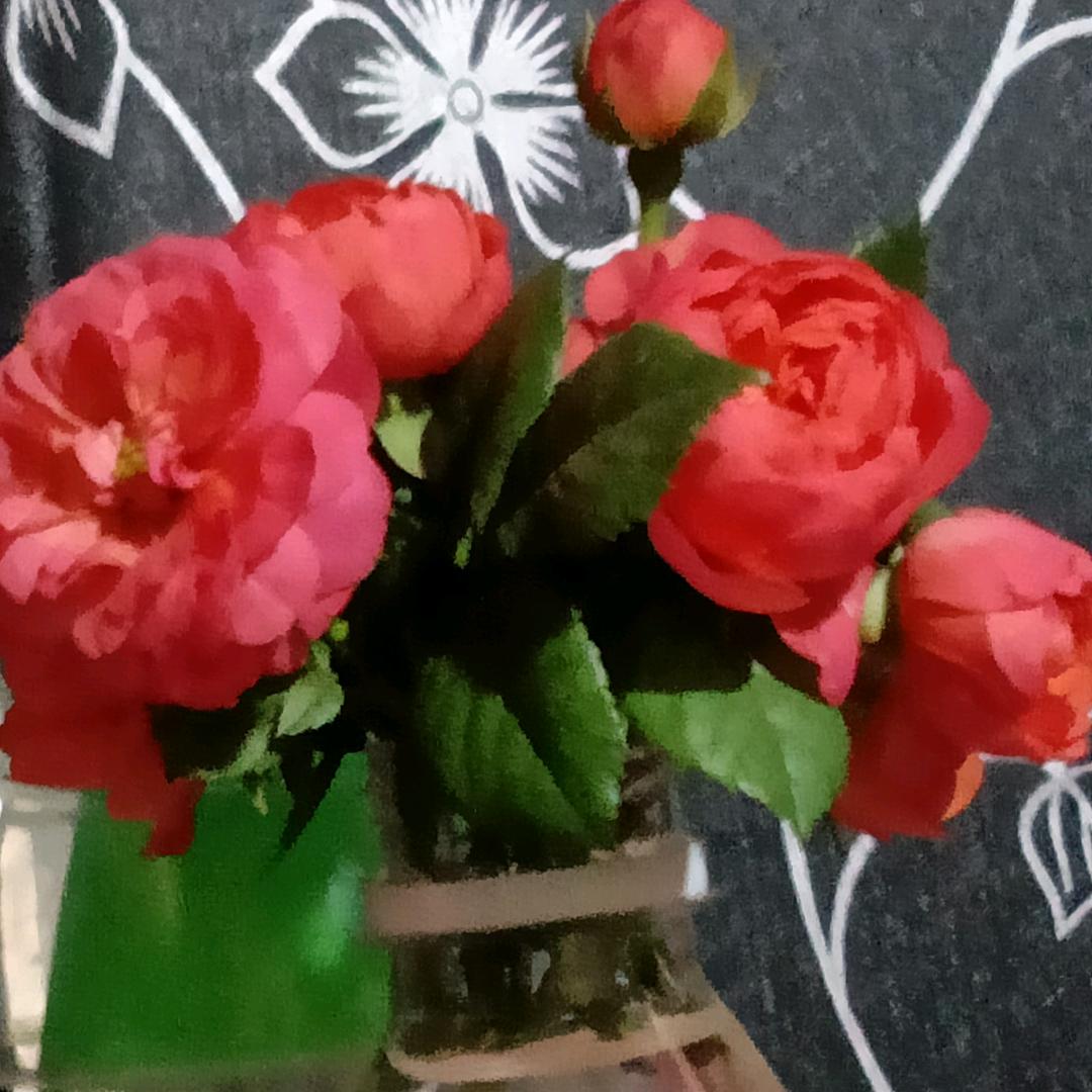 时光静好❤️