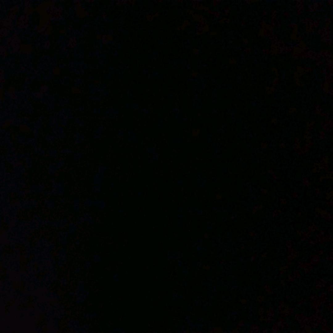 老项