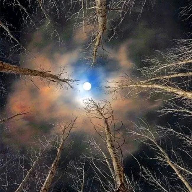 ღ那⒈抹陽光ོꦿ࿐