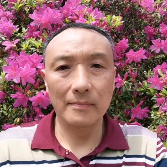 大田哥（不定时开播）