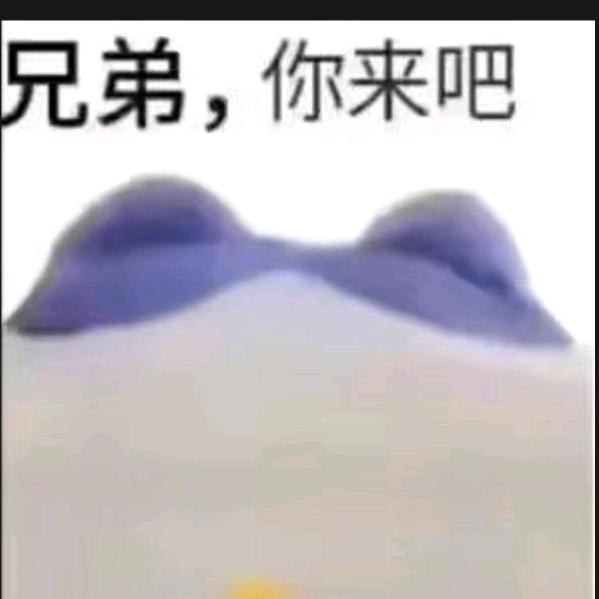 实验中学队长