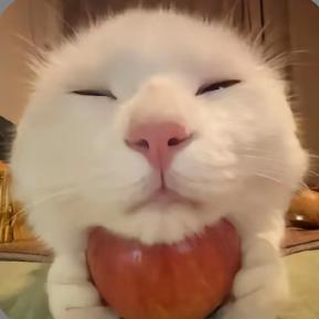 全世界最有钱的人