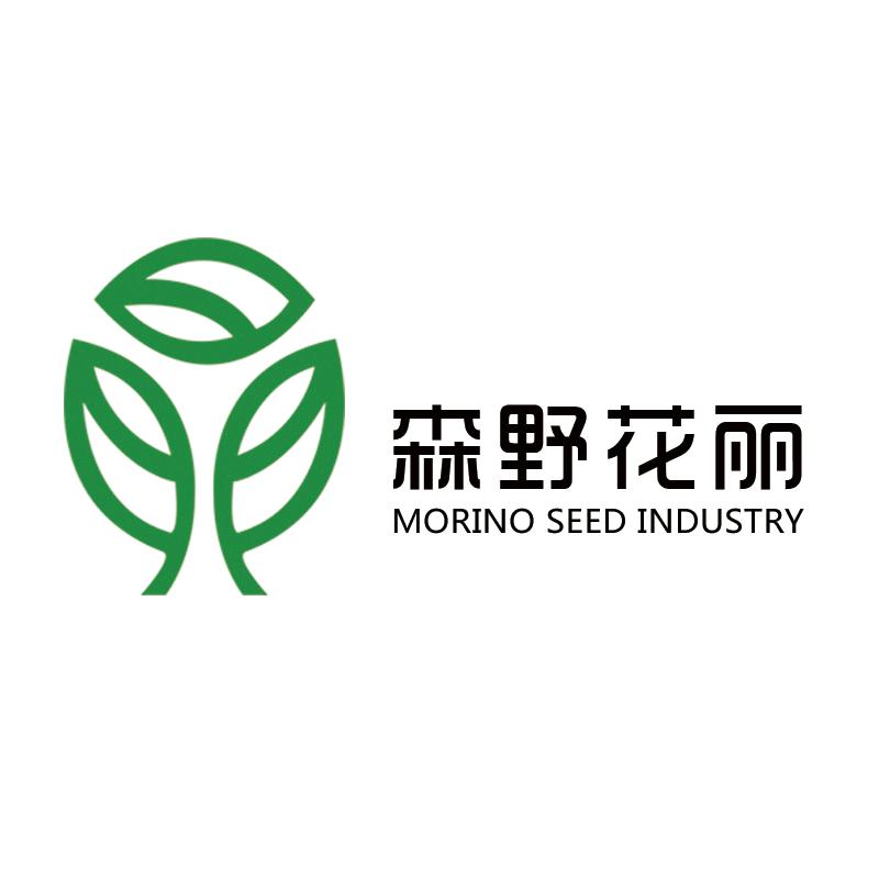 森野花丽种业-仲崇