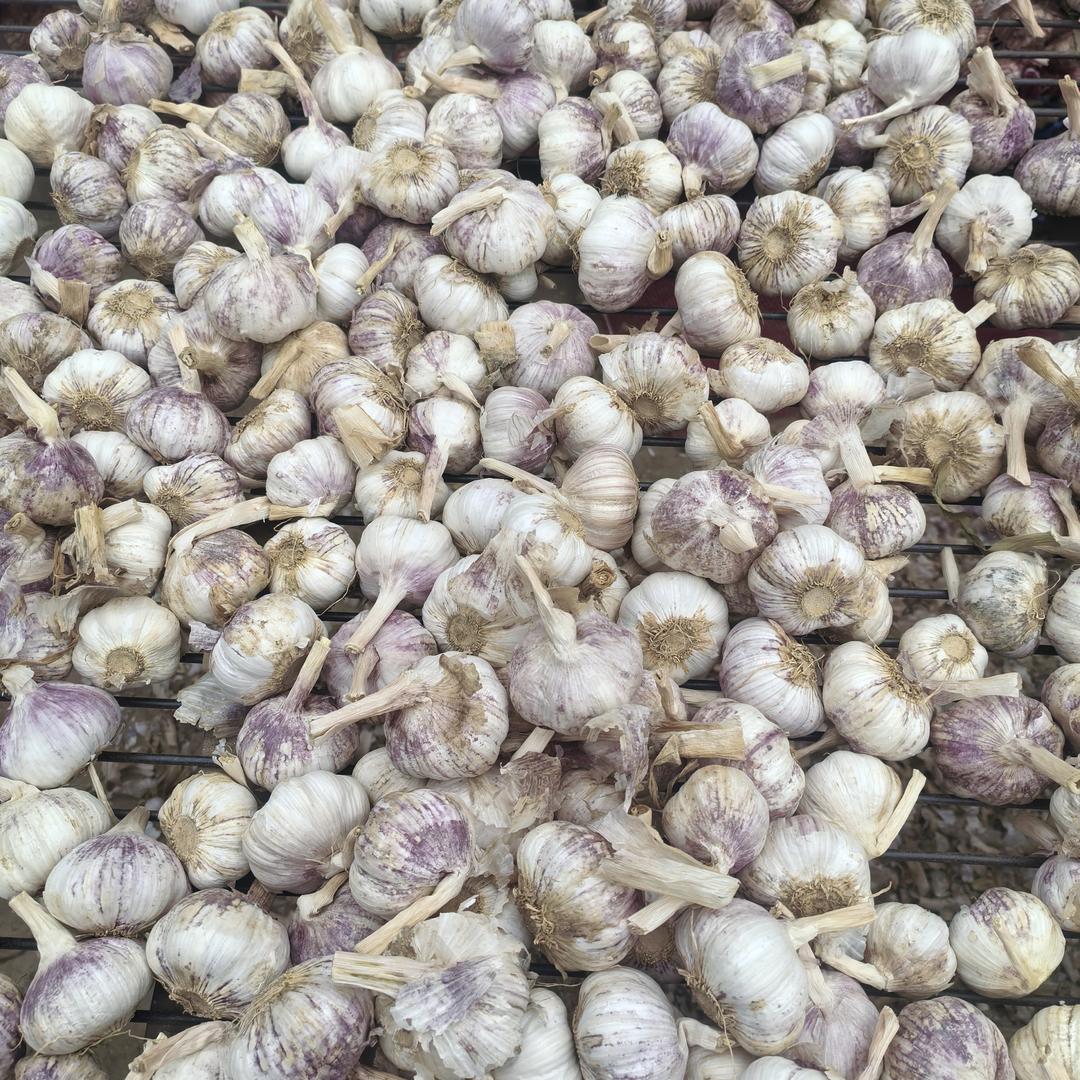 大豫丰达农贸-三农服务