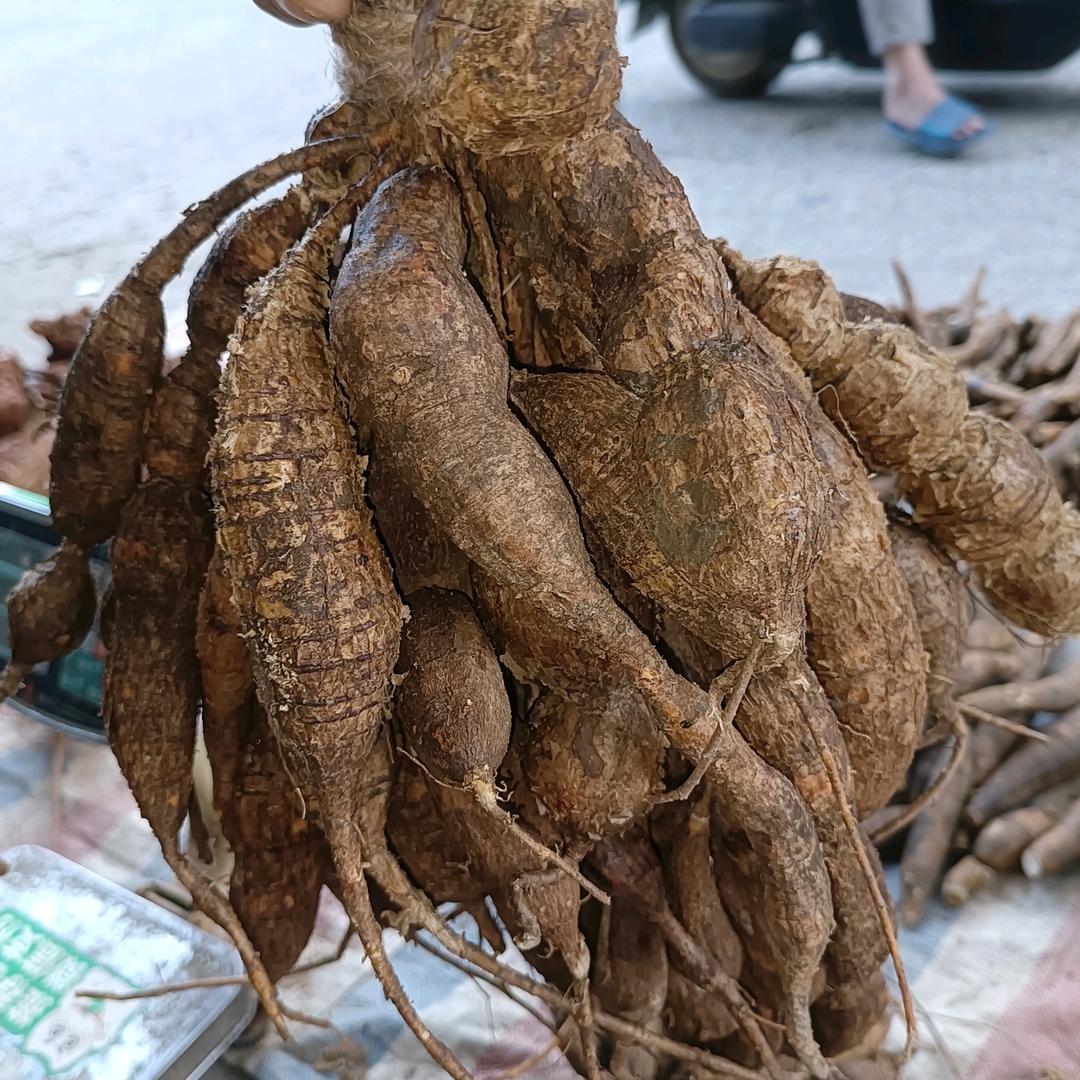 挖牛团队【伟】