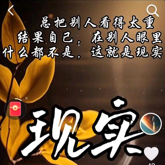 网忆