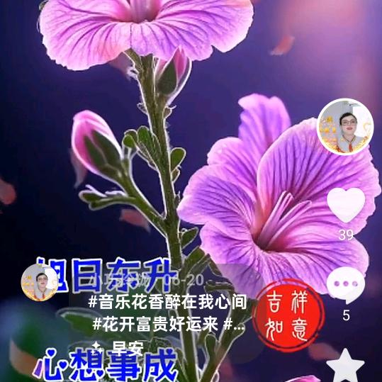 小巧玲珑