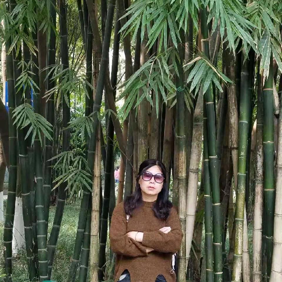 孟梅