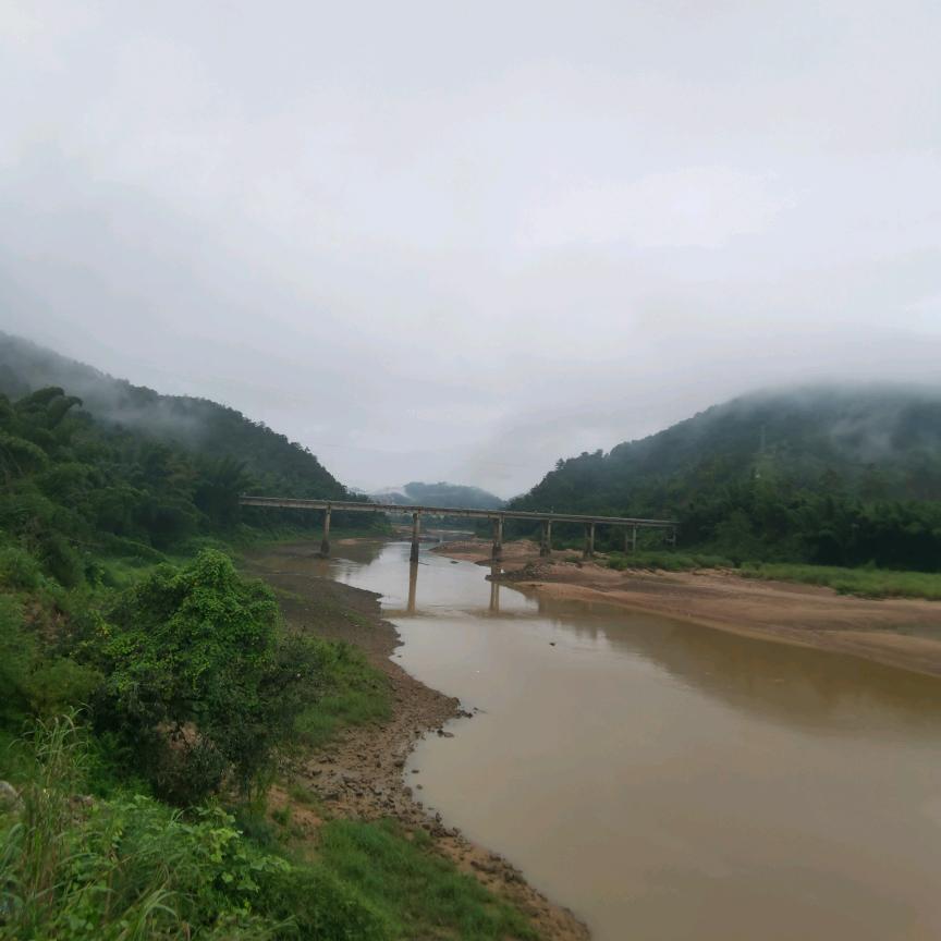 王先生