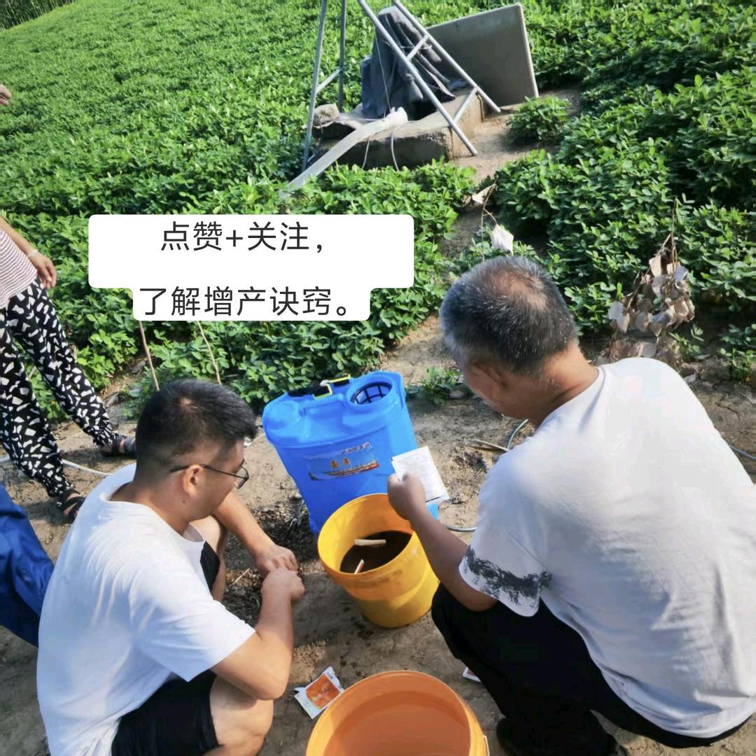 小林-种植说