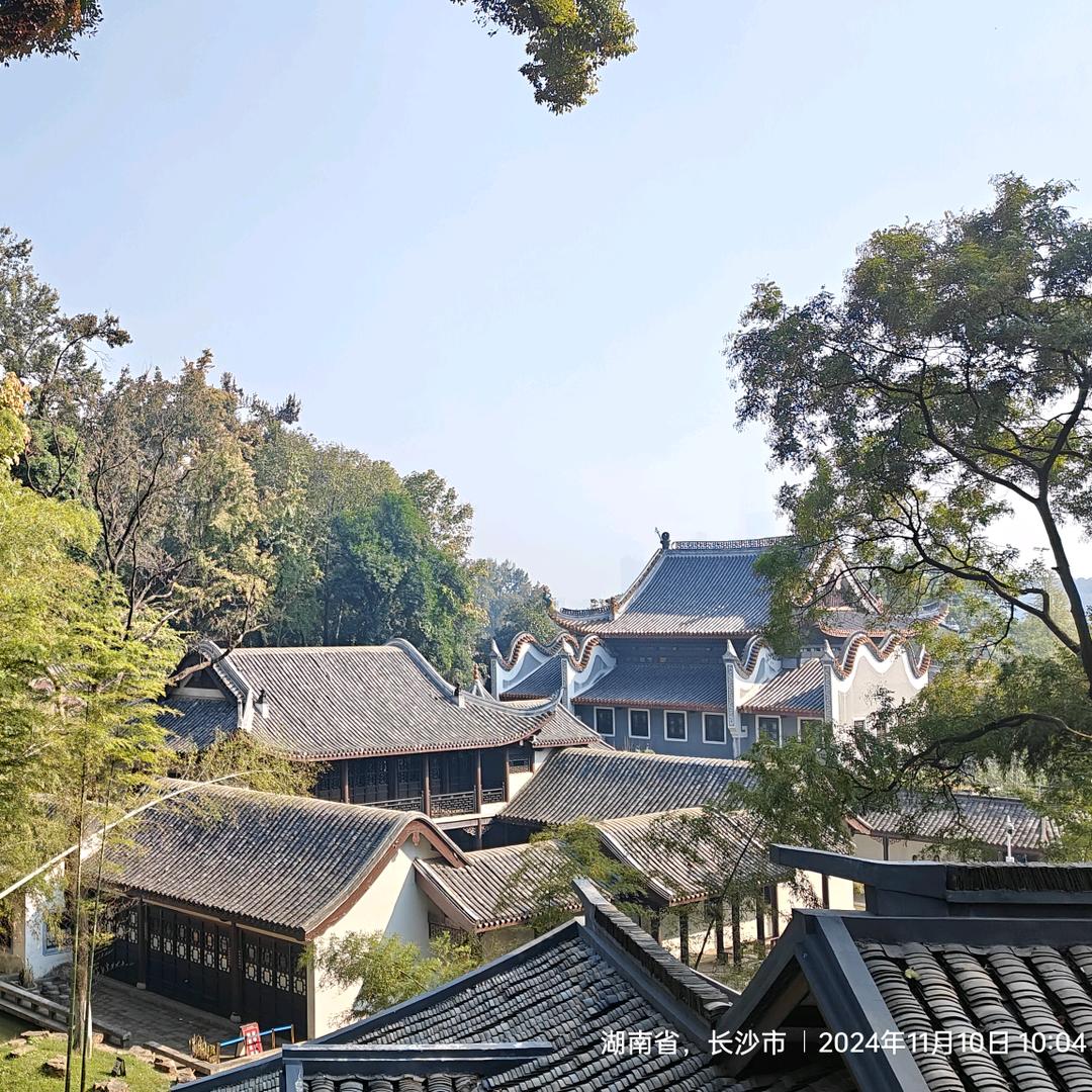 小透明