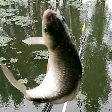 诚信 剪辑